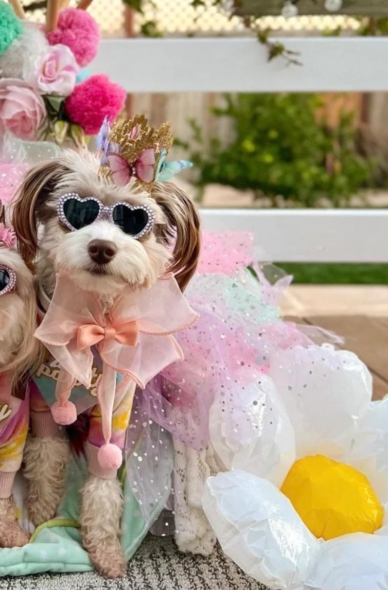 Dog Butterfly Birthday Crown
