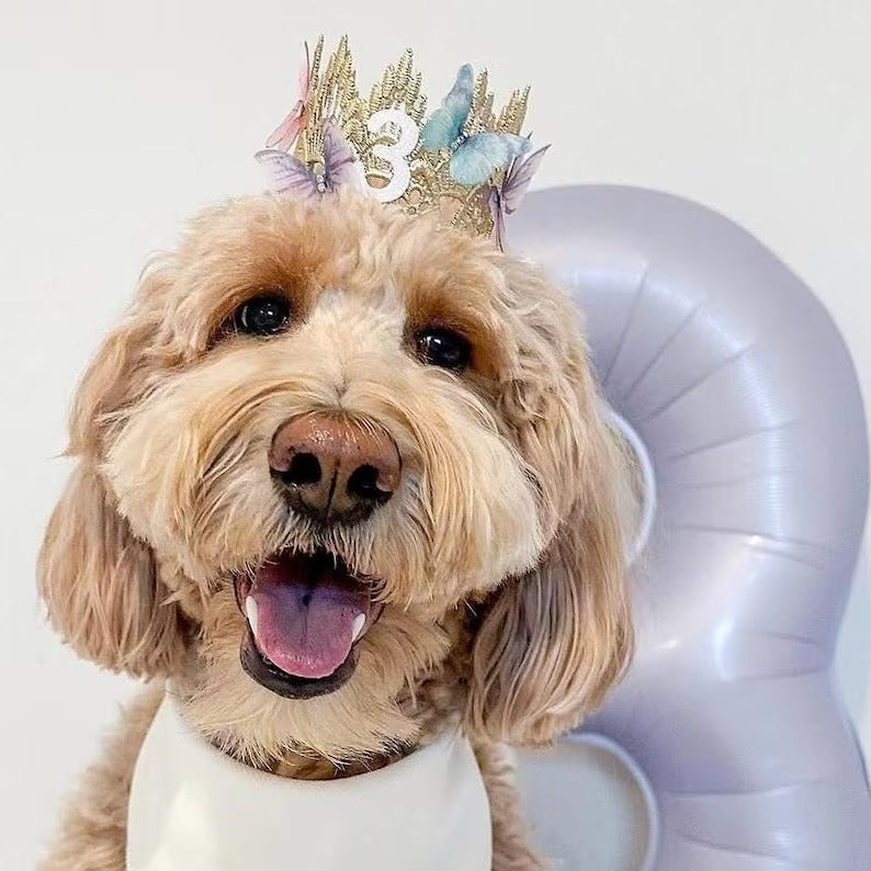 Dog Butterfly Birthday Crown