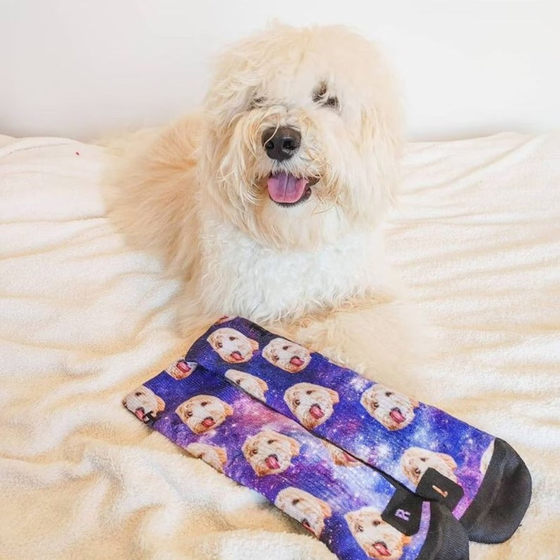 Customized Dog Socks