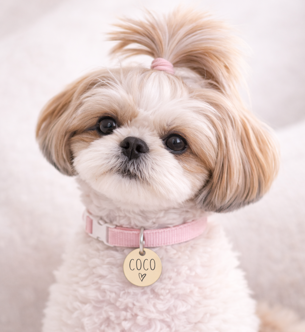 Personalized Dog Name Tag