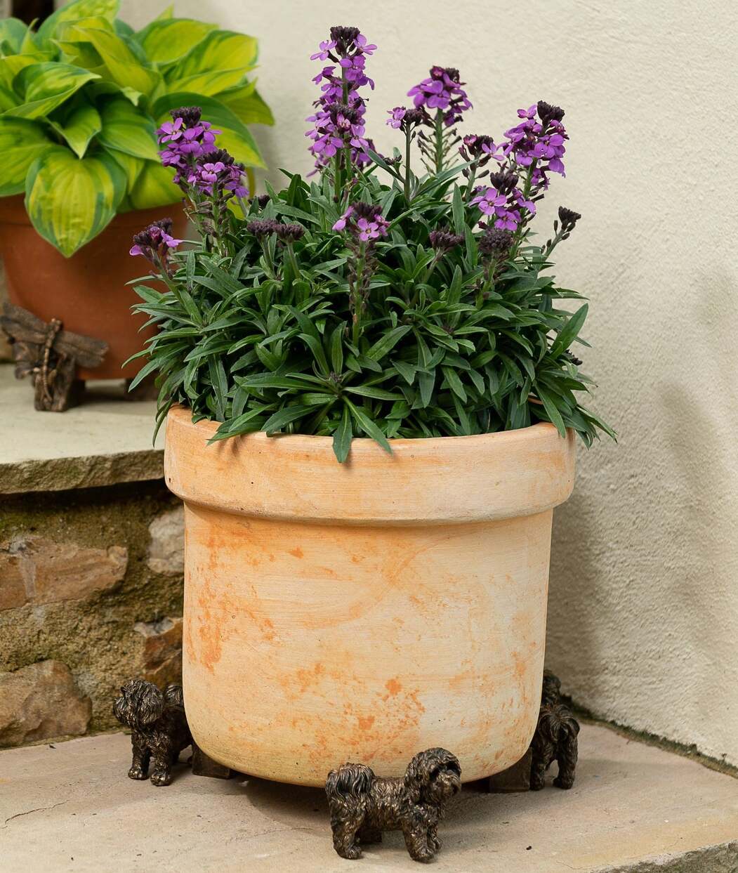 Bronze Shih Tzu Plant Pot Feet (Set of 3) – Decorative Dog Garden Pot Stands, Cute Garden Gift