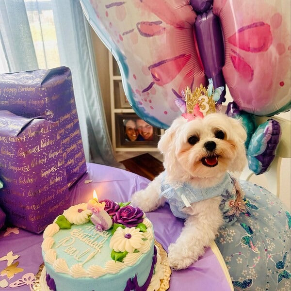 Dog Butterfly Birthday Crown