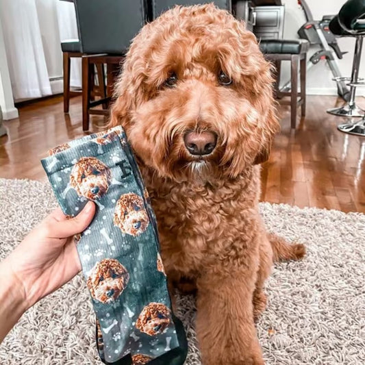 Customized Dog Socks