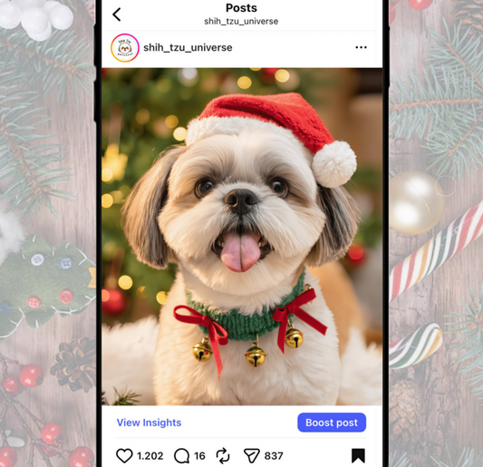 FREE POST FEATURE